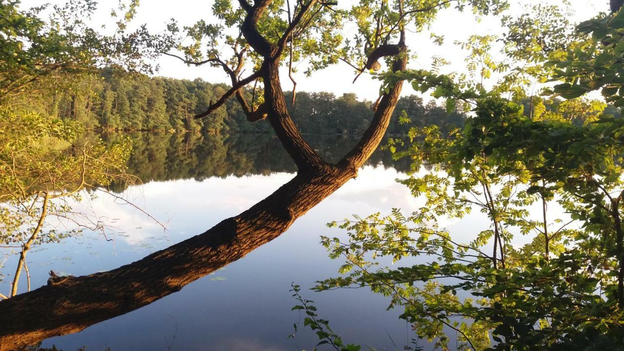Sidowseetraum Himmelpfort Kültér fotó